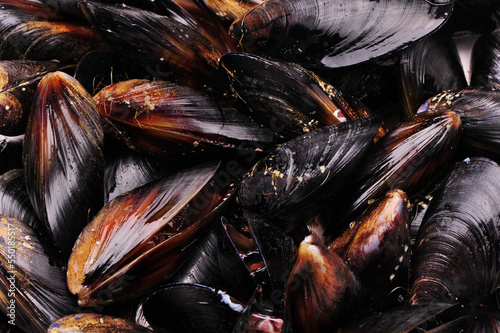mussels on the market