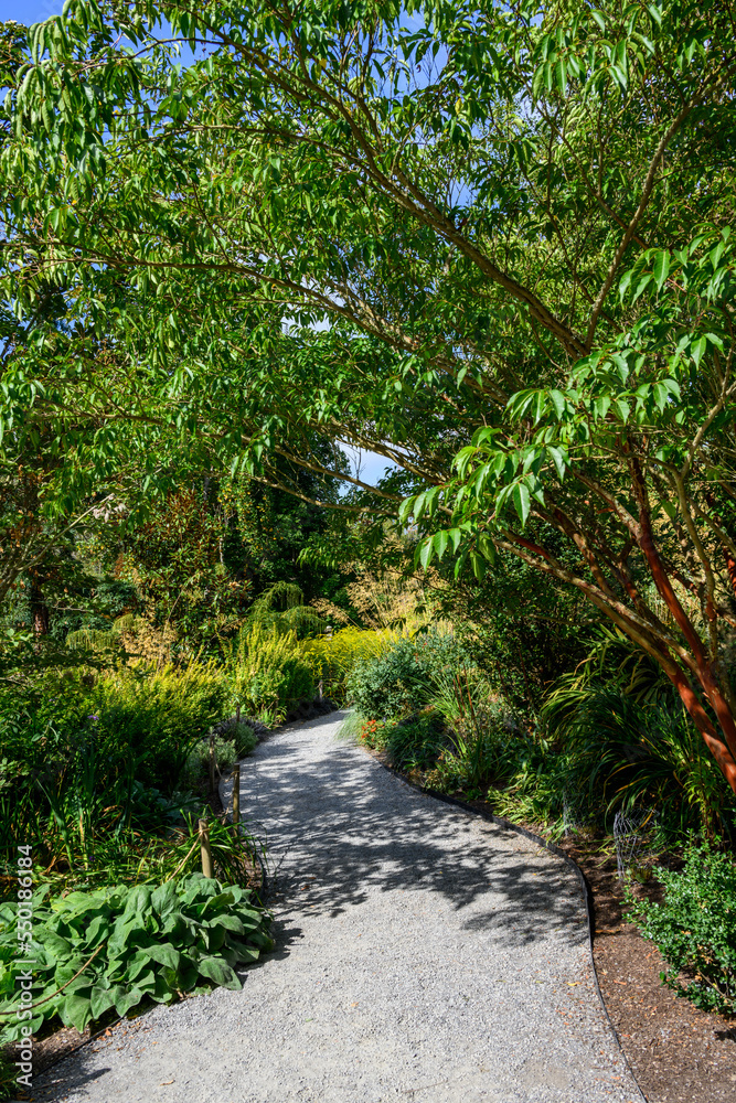 Gravel path through a secret garden on a sunny summer day, exploring nature
