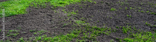 Major lawn repair and reseeding project, fresh seeds and rich topsoil in a green lawn
