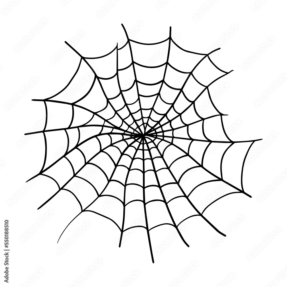 Obraz premium Spider web cobweb vector icon doodle.