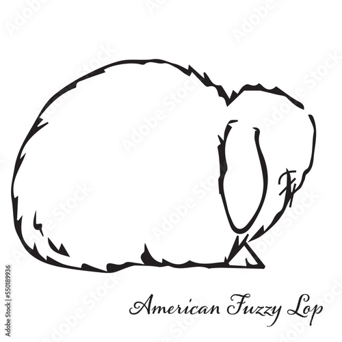 American Fuzzy Lop