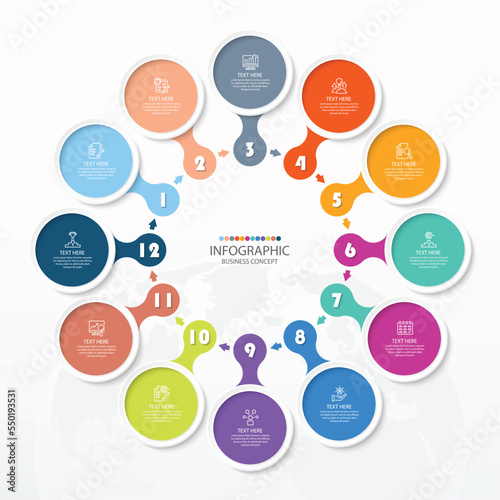 Basic circle infographic with 12 steps, process or options.