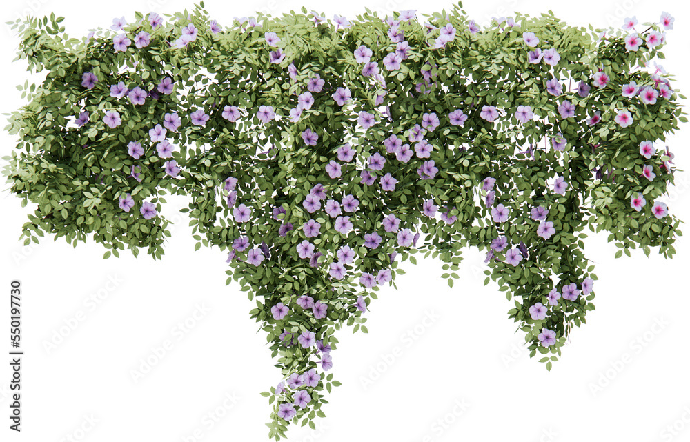 Flower vines cutout Stock Photo Adobe Stock