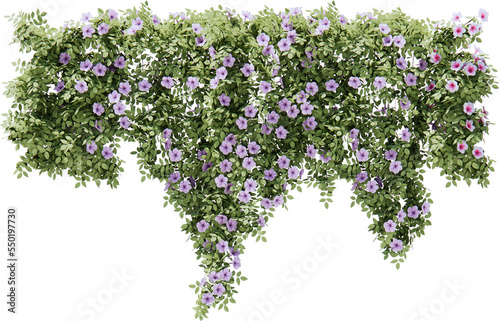 Flower vines cutout