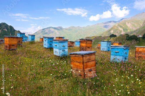 Wooden beehives against the backdrop of mountains. Beehives in a colorful flower meadow in the mountains of Georgia.Beekeeping in mountainous areas.