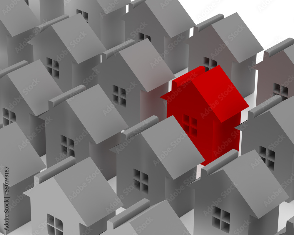 Fototapeta premium 3d model. Many cottages and one red. Difference.