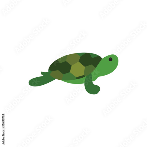 Tortoise animal with shell - vector illustration isolated on white.