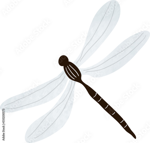 Watercolor dragonfly illustration