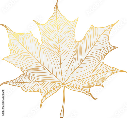 Gold maple leaf illustration photo