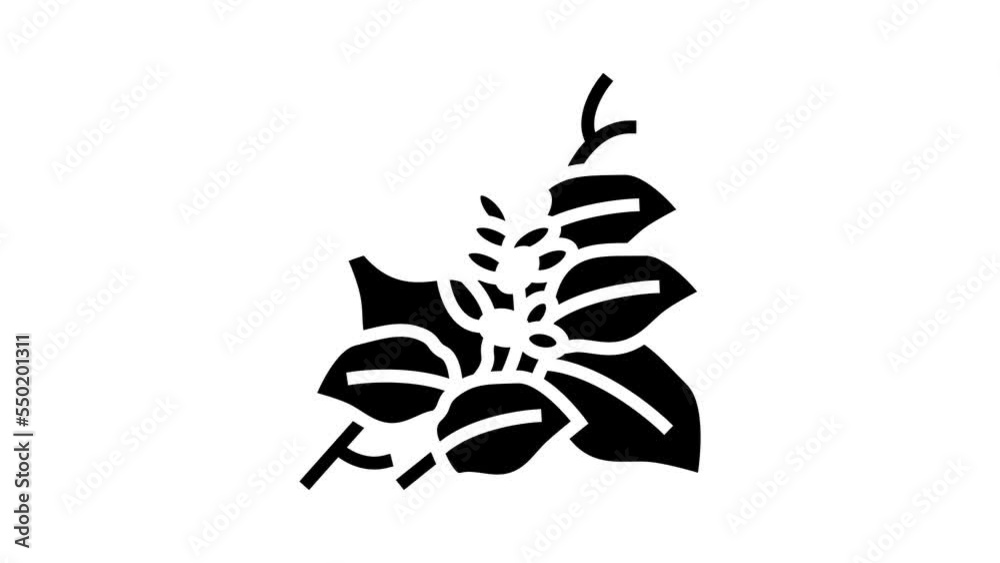 kudzu plant glyph icon animation kudzu plant glyph icon animation