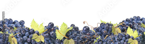 Grape gruit isolated  photo