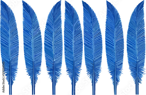 Palm blue leaves. Tropical palm tree feather leaf of winter plant foliage