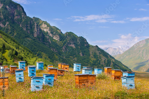Wooden beehives against the backdrop of mountains. Beehives in a colorful flower meadow in the mountains of Georgia.Beekeeping in mountainous areas.