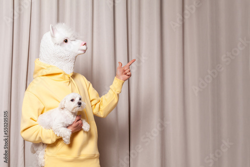 Creative lama person in yellow hoodie holding little white dog and pointing finger up on beige studio wall background