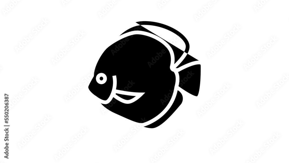 discus fish line icon animation discus fish line icon animation
