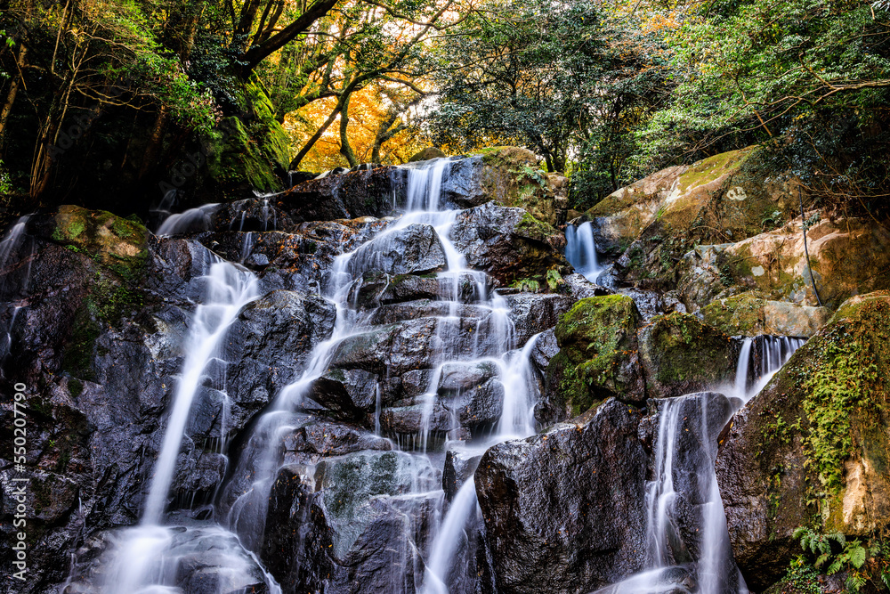 Obraz premium 白糸の滝 福岡県