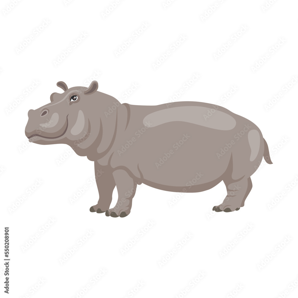 Obraz premium Hippopotamus illustration. African animal sitting, swimming in lake or river and standing on white background
