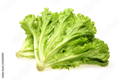 Fresh lettuce on white background