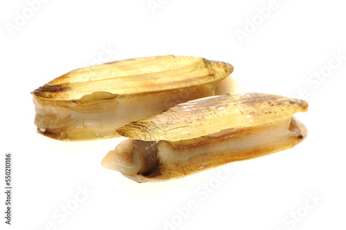Razor clams isolated on white background.