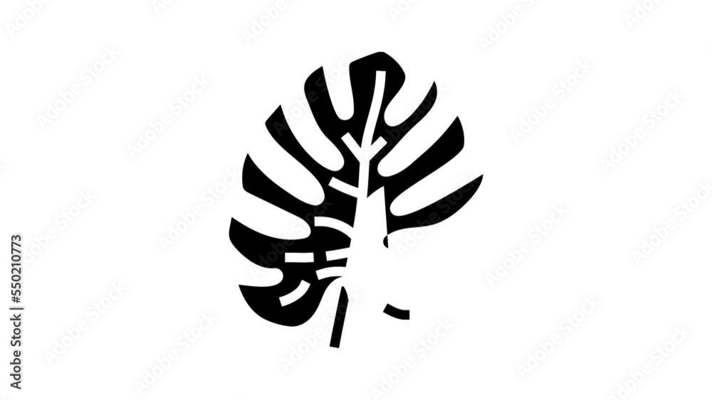 monstera tropical leaf glyph icon animation monstera tropical leaf glyph icon animation