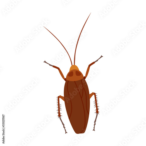 Harmful cockroach insect on white background cartoon illustration. Lady bug, beetle, grub, cockroach, roach, ant, butterfly