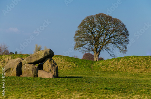 Giants Ring neolithic burial ground near belfast photo