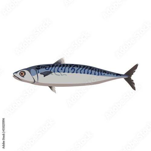 Freshwater mackerel fish cartoon illustration. Herring, mackerel, bream, catfish, sardine, halibut, anchovy isolated on white background. Seafood