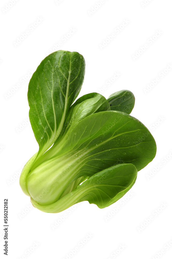 Pok Choi on white background Pok Choi on white background