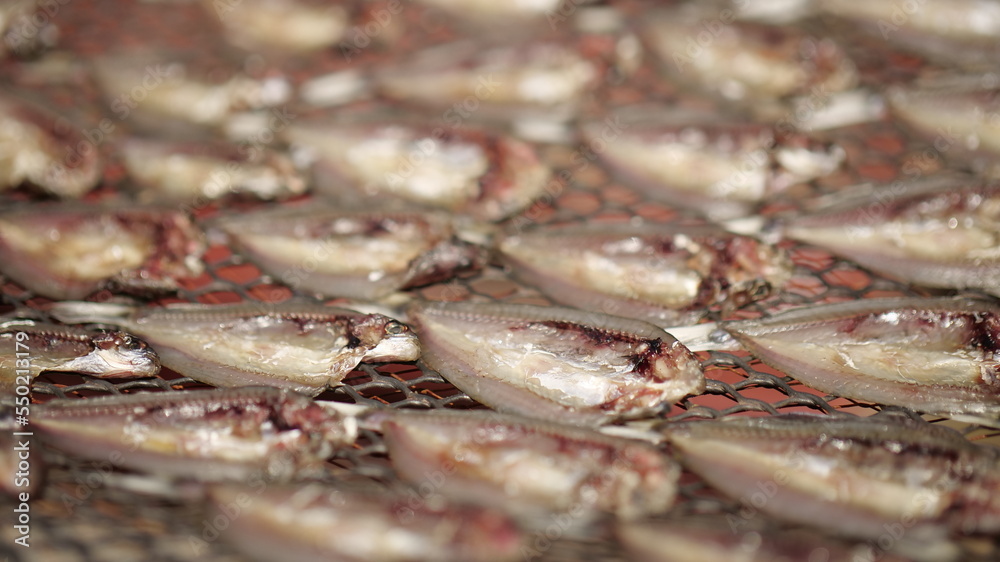 Backgrounds, dried fish Backgrounds, dried fish