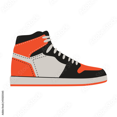 Female shoes flat vector illustration. Summer, autumn and winter foot wear for women isolated on white background