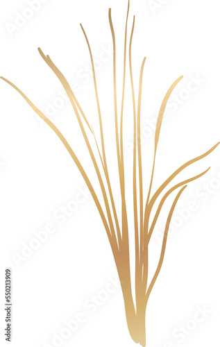 Gold grass illustration