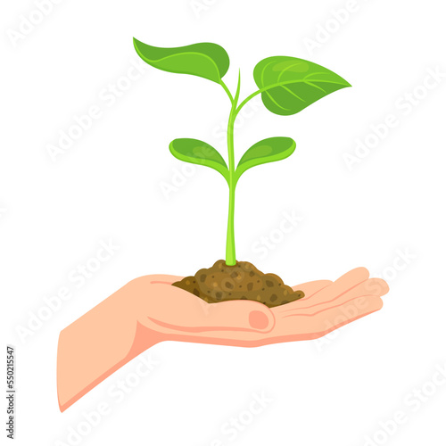Sprout in hand. Young seedling in handbreadth. Vector illustration of plant new life symbol photo