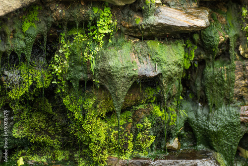 Close up of Waterfall with Green Moss Stone