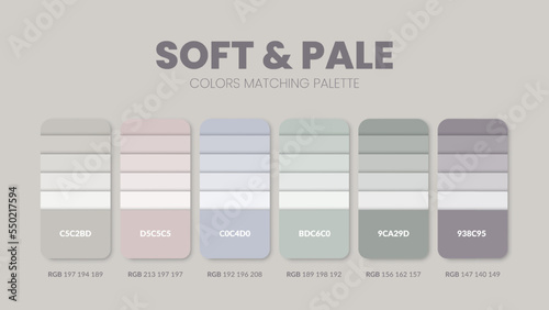 Color palette in Soft and Pale colour theme collections. Color scheme or colors chart template. Color combination set of RGB, HSL and HEX codes. Color swatch for art, fashion, home design, or web desi