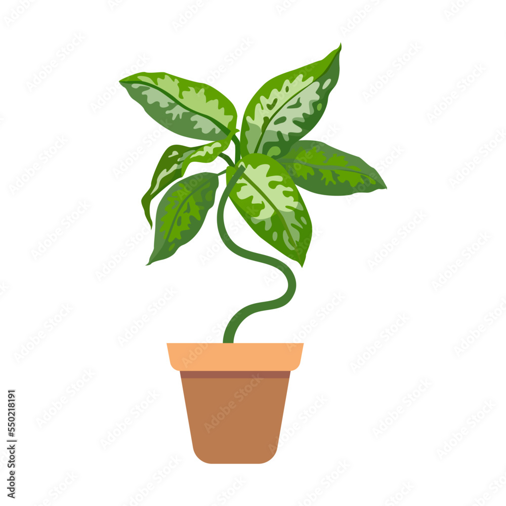 Houseplant in flowerpot vector illustration. Drawing of plant in pot for office or home garden isolated on white Houseplant in flowerpot vector illustration. Drawing of plant in pot for office or home garden isolated on white