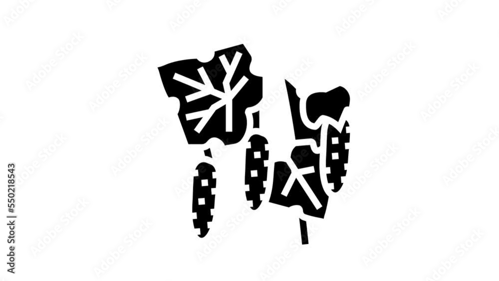 growing natural cucumber glyph icon animation growing natural cucumber glyph icon animation