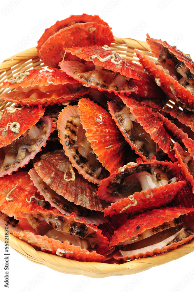 Raw scallop background