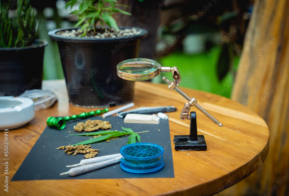 Joints and buds of medical cannabis and cigarettes on a wooden table Joints and buds of medical cannabis and cigarettes on a wooden table