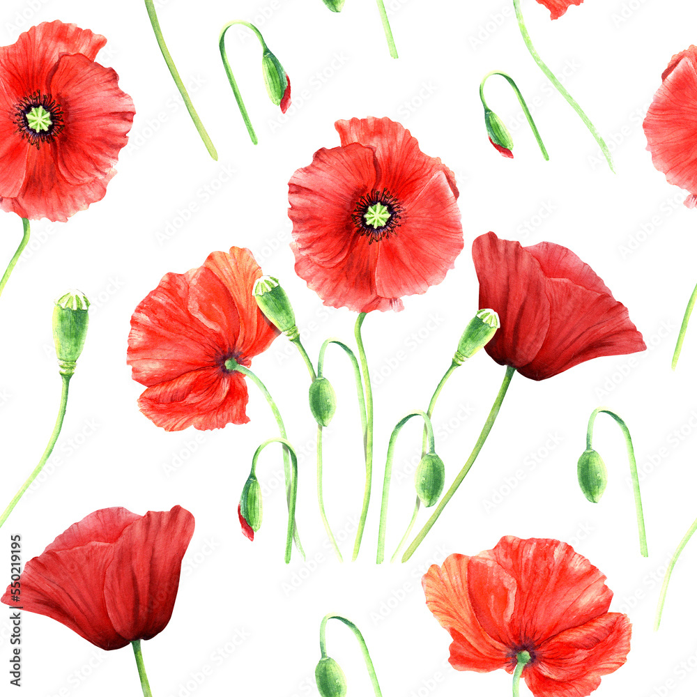Obraz premium Seamlesss pattern with wild poppies isolated on white background