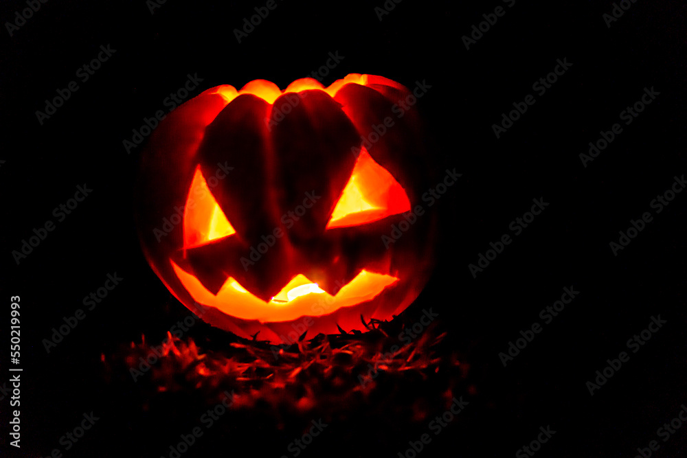 Halloween Halloween