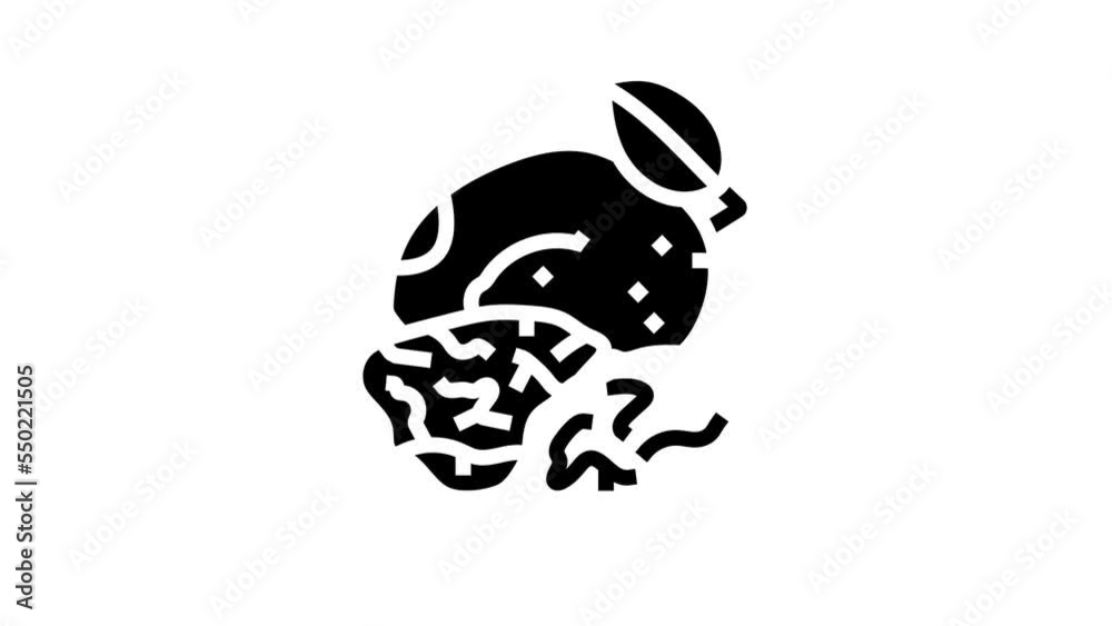 prune plum glyph icon animation