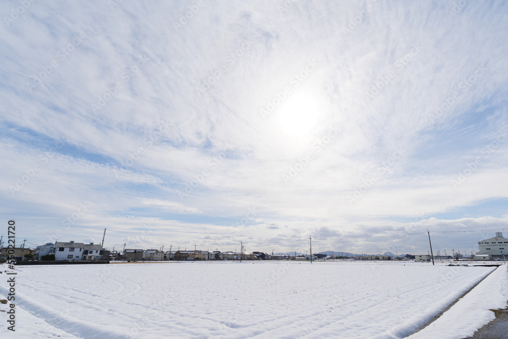 Fototapeta premium Midwinter snowfield, dusk just before sunset