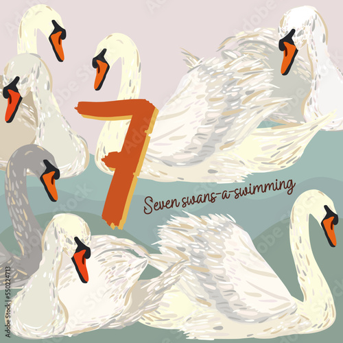 The twelve days of Christmas. Seventh day. Seven swans-a-swimming. Christmas concept.