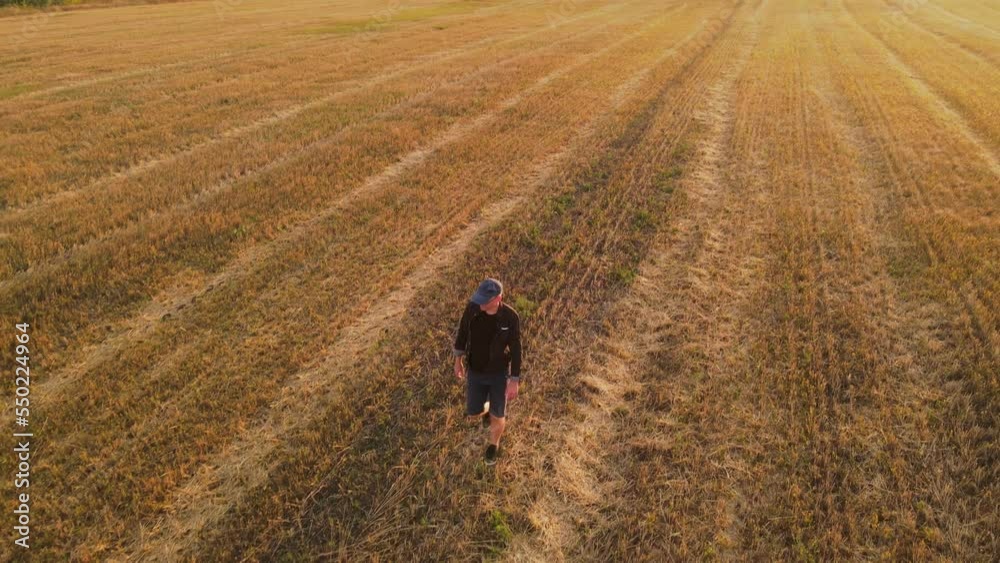 Aerial farmer walk on wheat field after harvest and check quality agro field Aerial farmer walk on wheat field after harvest and check quality agro field