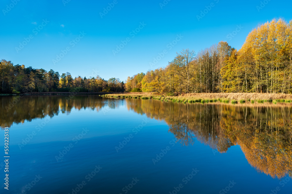 Small lake in autumn surrounded by forest