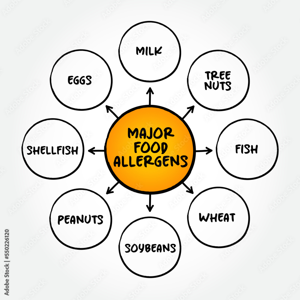 Major Food Allergens (reaction that occurs soon after eating a certain food) mind map text concept background Major Food Allergens (reaction that occurs soon after eating a certain food) mind map text concept background