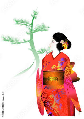 女性、着物、晴着、ファッション