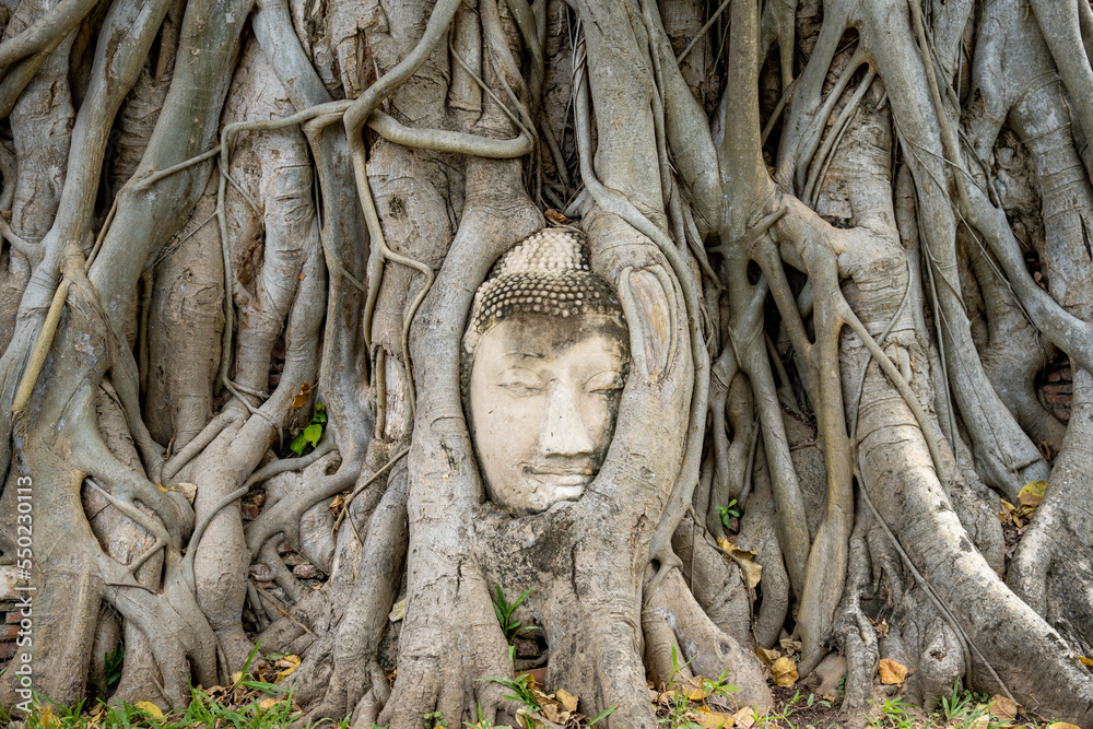 Buddhakopf im Baum in Ayutthaya in der Nähe von Bangkok, Thailand Buddhakopf im Baum in Ayutthaya in der Nähe von Bangkok, Thailand