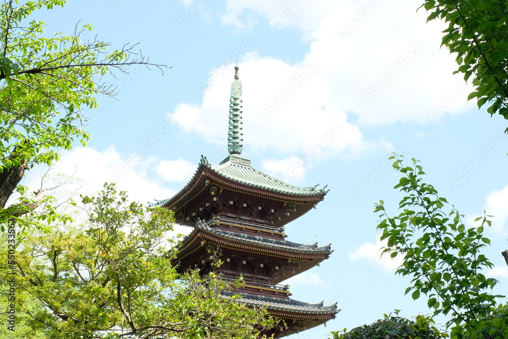 Pagoda Surviving Anti-Buddhist Persecution - Ueno Toshogu Shrine Pagoda Surviving Anti-Buddhist Persecution - Ueno Toshogu Shrine