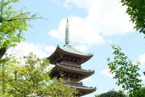 Fototapet Pagoda Surviving Anti-Buddhist Persecution - Ueno Toshogu Shrine